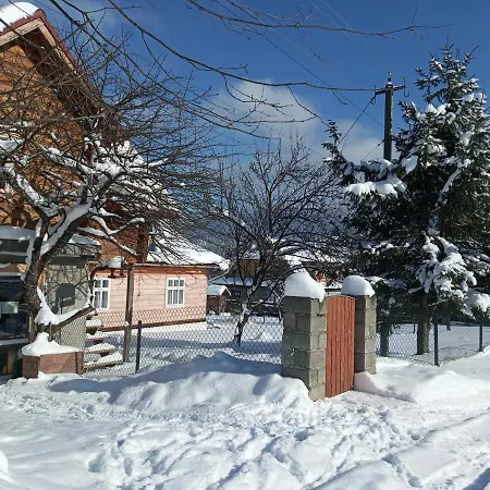 у андрушка